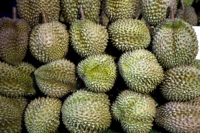 Gestapelte Durianfrüchte warten im Großhandel einen Käufer. In Nonthaburi wurde am Wochenende die teuerste Durian der Welt für 1,5 Millionen Baht versteigert. Dagegen sind die Exemplare auf dem Foto nur gewöhnlich.  Foto: epa/Diego Azubel