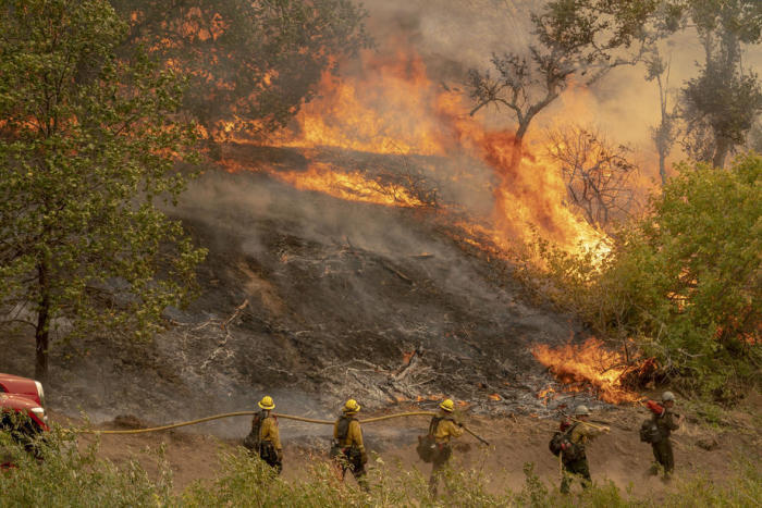 Das El-Dorado-Feuer verbrennt einen Hang in der Nähe von Yucaipa im San Bernardino National Forest, Kalifornien. Foto: epa/Kyle Grillot