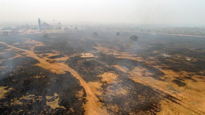 Gesamtansicht eines von Bränden betroffenen Gebietes im Pantanal-Feuchtgebiet, Bundesstaat Mato Grosso.Foto: epa/Rogerio Florentino