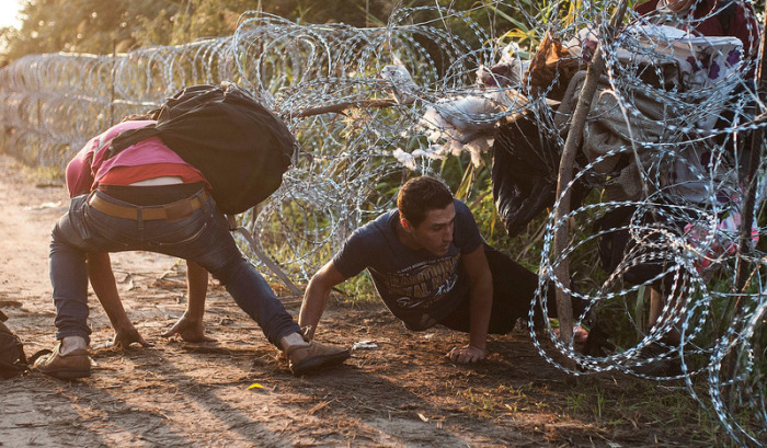 Flüchtlinge durchbrechen am 27.08.2015 die Absperrung aus Stacheldraht an der Grenze zwischen Ungarn und Serbien bei Röszke, Ungarn. Foto: Sandor Ujvari/Mti/dpa