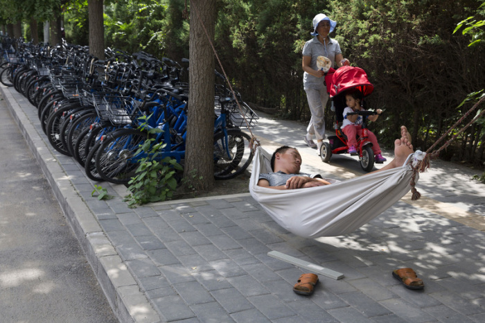 Ein Mann schläft in einer Hängematte neben Fahrrädern einer Fahrrad-Verleihfirma. Viele junge Chinesen haben das Gefühl, alles hinschmeißen zu wollen. Foto: Ng Han Guan/dpa