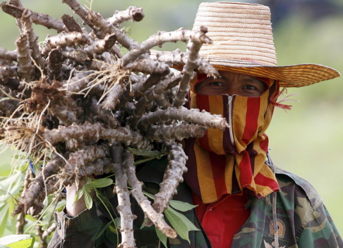 Foto: epa/Barbara Walton