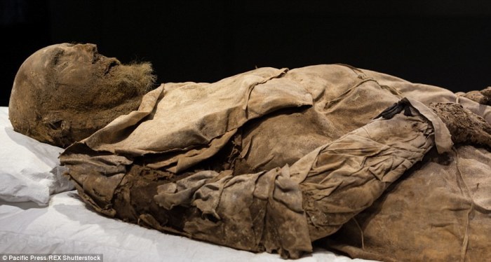 Foto: Mummipedia.fandom