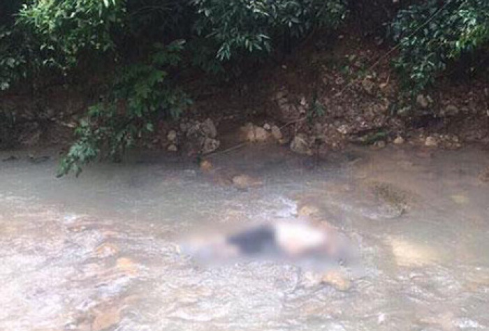 Tatortfoto von der Polizei aufgenommen am 8. Dezember um 9.30 Uhr im Gebirgsbach an der Soi 5 in Maenam, in unmittelbarer Nähe der ‚Tarzan Bar‘. Foto: Polizei Chaweng