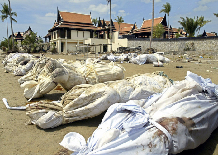 Tsunami: 369 Leichen noch nicht identifiziert