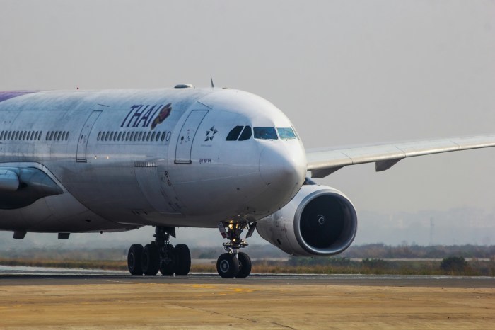 Thai Airways International baut ihr internationales Streckennetz 2026 mit neuen Verbindungen und zusätzlichen Frequenzen deutlich aus. Foto: Bornil Amin/Unsplash