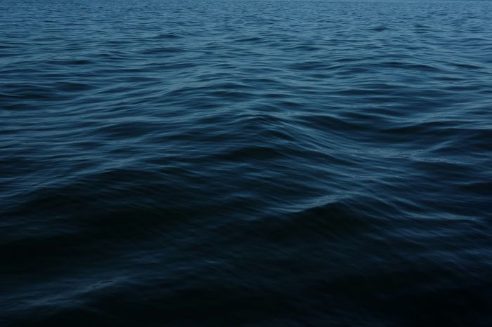 Foto: Unsplash
