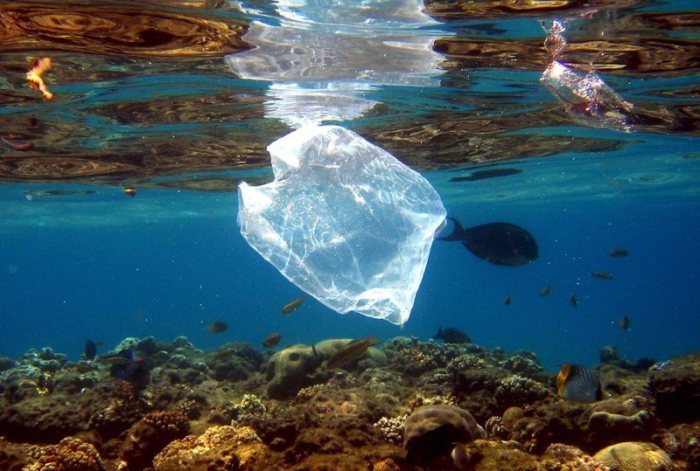Eine Plastiktüte schwimmt über Korallen im Roten Meer in Ägypten. Foto: Mike_Nelson/epa/dpa