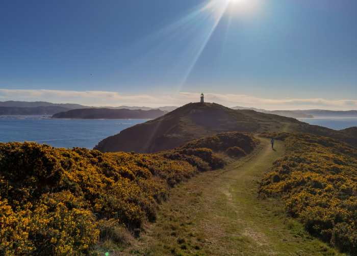 Ein Mensch wandert in Eastbourne in Wellington (Neuseeland) bei Sonnenschein an der Küste entlang. Ein starkes Erdbeben der Stärke 6,7 hat die Küste der Südinsel Neuseelands erschüttert. Foto: Guo Lei/Xinhua/dpa