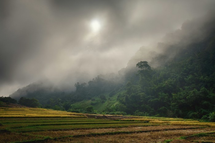 Gewitter bleiben in Teilen Thailands möglich, insgesamt erwartet der Wetterdienst jedoch eine nachlassende Niederschlagsaktivität. Archivbild: Rowan Heuvel/Unsplash