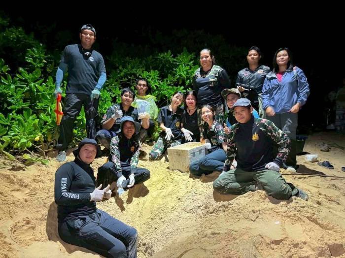 Mitarbeiter des Nationalparks und Fachkräfte sichern die geborgenen Eier nach der Entdeckung des Nests an der Andamanenküste. Bild: Department of National Parks, Wildlife and Plant Conservation (DNP)
