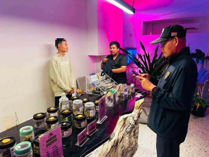 Behörden in Phuket kontrollierten gemeinsam mit Polizei und Gesundheitsamt zahlreiche Cannabis-Geschäfte und verschärfen das Vorgehen gegen Verstöße gegen die Lizenzvorschriften. Foto: Phuket Info Center
