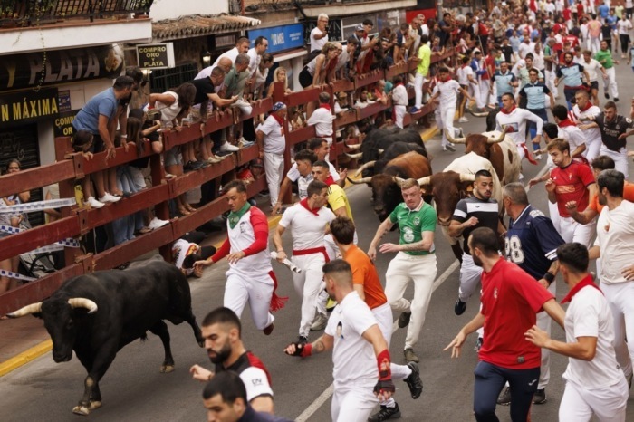Läufer nehmen am «Pamplona Chica»-Stierlauf in San Sebastián de los Reyes bei Madrid teil. Foto: EPA/Sergio Perez