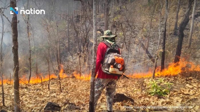Der Doi Phu Nang Nationalpark in Phayao ist derzeit wegen Brandgefahr geschlossen. Foto: Facebook/Dnp