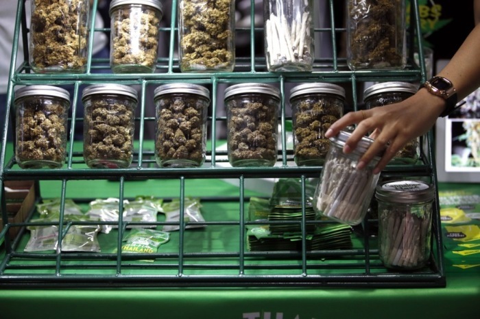 Thailand setzt auf die medizinische Nutzung von Cannabis. Die Freizeitkonsum-Debatten halten weiter an. Foto: epa-efe/Rungroj Yongrit