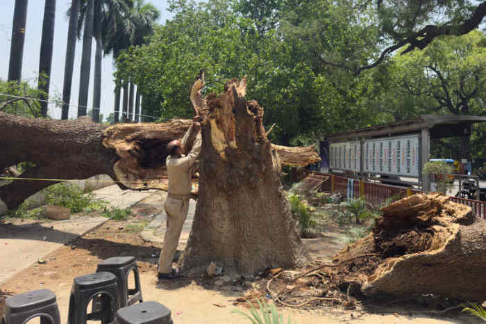 Ein Mitglied der Zivilschutzorganisation bindet ein Seil an einen umgestürzten Baum, um nach Stürmen und starken Regenfällen eine Notunterkunft zu errichten. Foto: Rajesh Kumar Singh/Ap/dpa