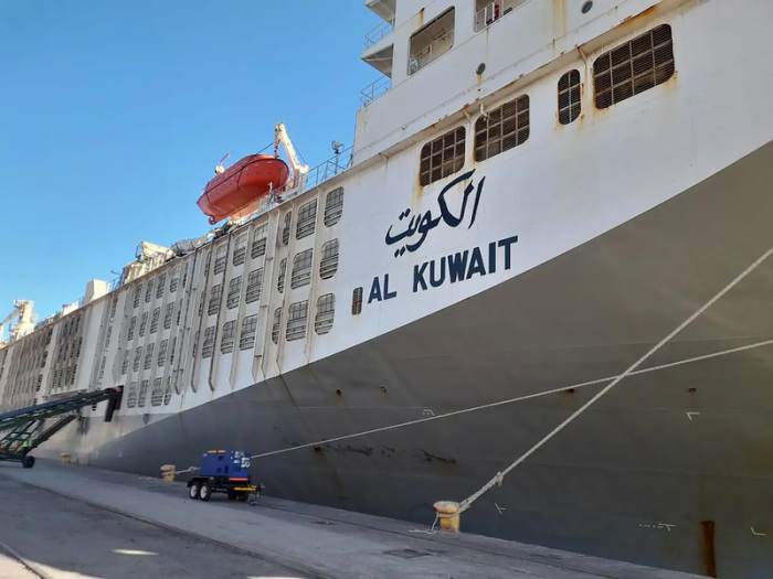 Das mit 19 000 Rindern beladene Transportschiff «Al Kuwait» hat im Hafen der südafrikanischen Touristenmetropole Kapstadt angelegt. Foto: Nspca/dpa