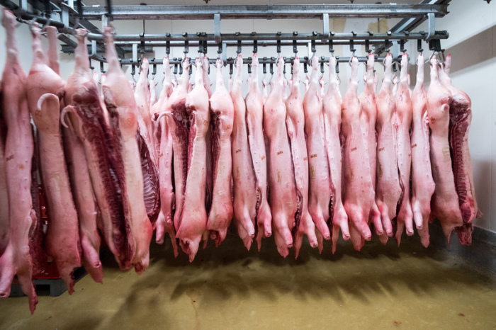 Schweinehälften hängen im Kühlraum eines Zerlegebetriebs. China hat eine Anti-Dumpinguntersuchung gegen Schweinefleisch aus der EU angekündigt. Foto: Christian Charisius/dpa