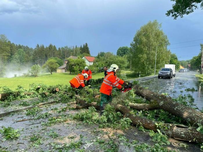 Feuerwehrleute räumen einen umgestürzten Baum von einer Straße. In Niederösterreich mussten die Feuerwehrleute zu zahlreichen Einsätzen ausrücken. Foto: Ff Stadt-gmÜnd