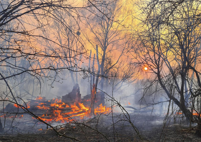 Waldbrand in der Nähe des Dorfes Volodymyrivka in der Sperrzone. Foto: epa/Yaroslav Yemelianenko