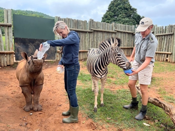 Nashorn-Baby Daisy und Zebra-Baby Modjadji trinken ihre Milch immer zusammen und werden von Petronel Nieuwoudt, Gründerin von 