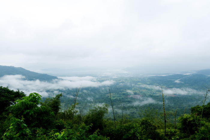 Thap Lan-Nationalpark. Foto: LOOKS GOOD/Adobe Stock