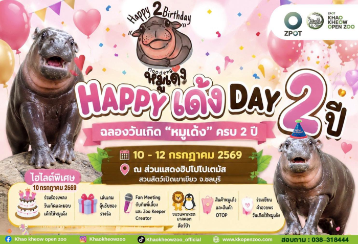 Moo Deng hat sich in nur zwei Jahren zu einer der beliebtesten Attraktionen des Khao Kheow Open Zoo entwickelt. Foto: Khao Kheow Open Zoo