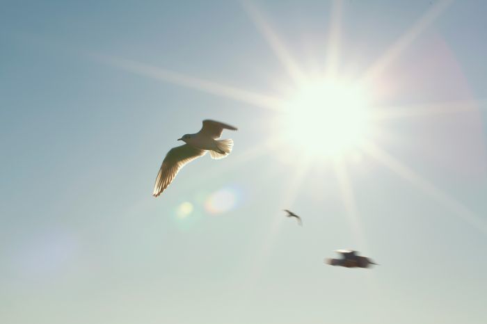 Foto: Unsplash
