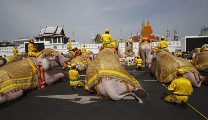 Elefanten während der Krönungszeremonie Seiner Majestät im Großen Palast in Bangkok am 4. Mai 2019. Fotos: epa-efe/Rungroj Yongrit