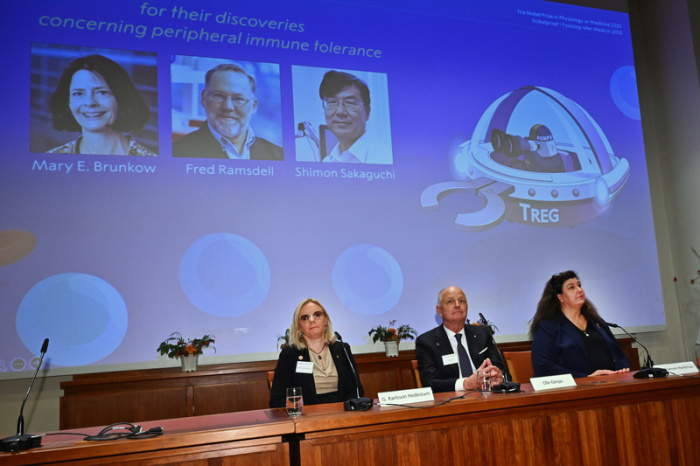 Die Nobelversammlung in Stockholm verkündet Mary E. Brunkow, Fred Ramsdell und Shimon Sakaguchi als Medizin-Nobelpreisträger 2025. Foto: dpa/Claudio Bresciani