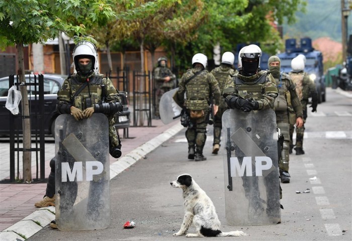 ein Hund sitzt, während Soldaten der NATO-geführten internationalen Kosovo-Friedenstruppe (KFOR) vor dem Gebäude der Gemeinde in Zvecan Wache stehen. Foto: epa/Georgi Licovski