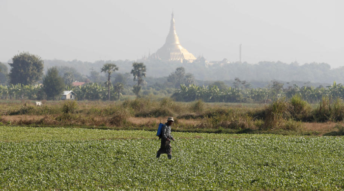 Ein Bauer arbeitet auf einem Bohnenfeld, im Hintergrund ist die Uppatasanti-Pagode in Naypyidaw, zu sehen. Foto: epa/Nyein Chan Naing