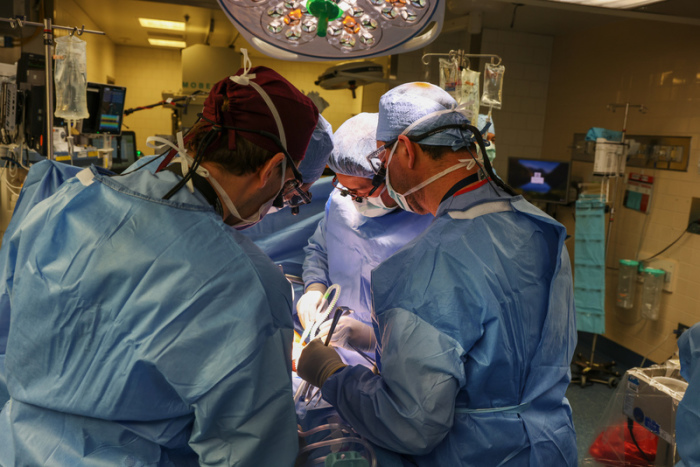 Ärzte arbeiten in einem OP-Raum bei der Transplantation einer Schweineniere im Massachusetts General Hospital. Foto: Michelle Rose/Massachusetts General Hospital/dpa