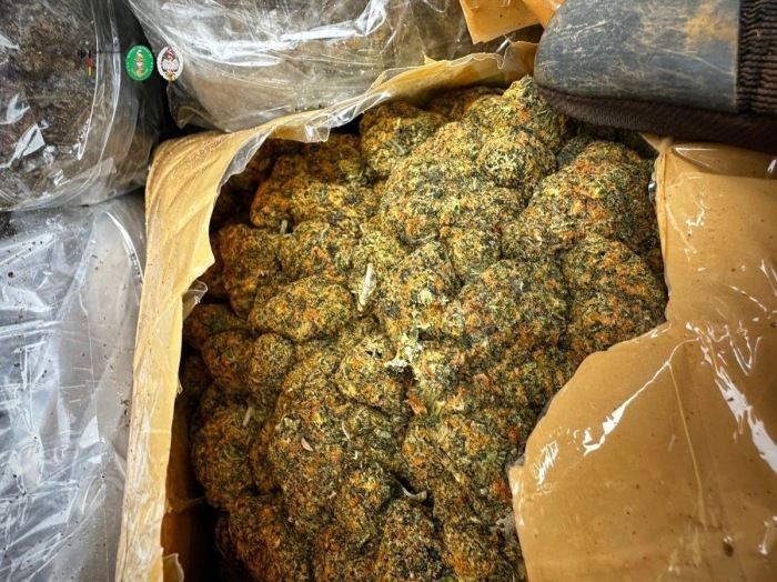 Geöffnetes Cannabis-Paket. Foto: Zollfahndungsamt Hannover
