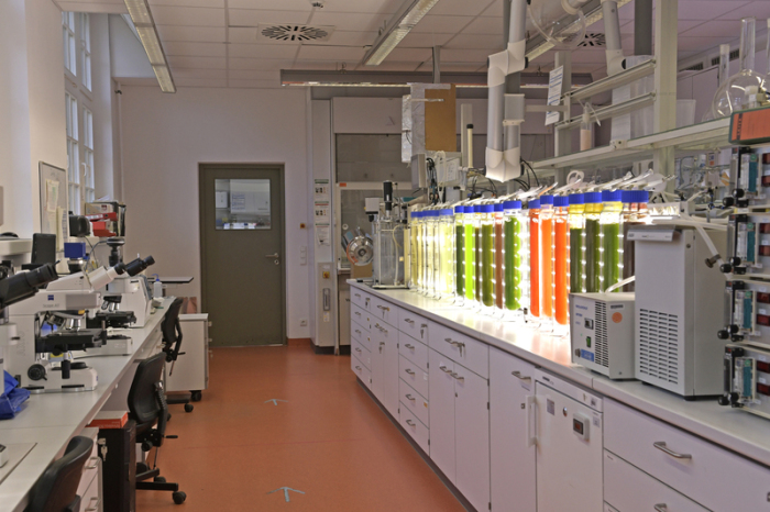 So sieht das Labor der Forscherin Carola Griehl und ihrem Team aus. Foto: Hochschule Anhalt, Kompetenzzentrum Algenbiotechnologie/dpa