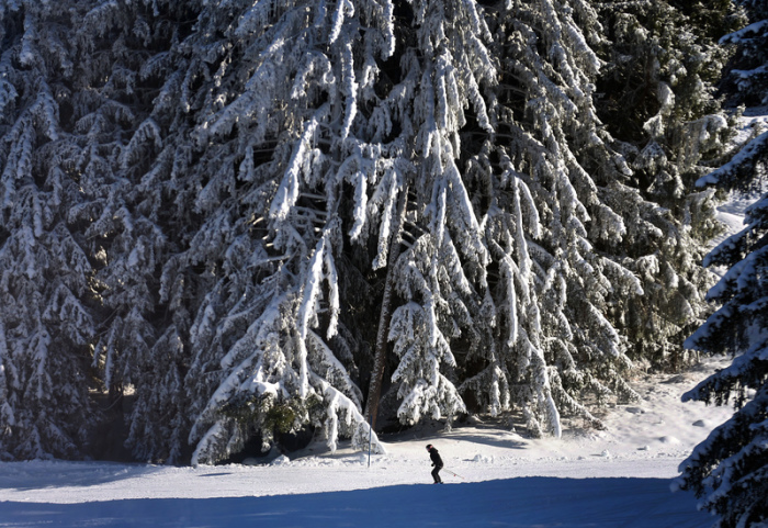 Ein Skifahrer fährt im Skigebiet Söllereck an mit Schnee und Eis überzogenen Bäumen vorbei. Foto: Karl-Josef Hildenbrand/dpa