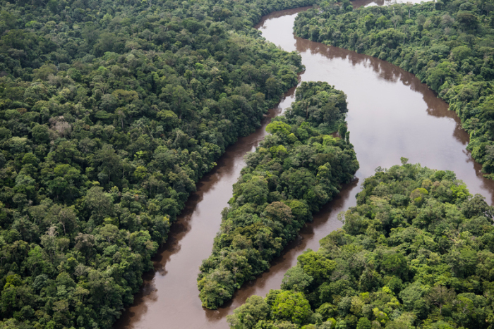 Regenwald und Fluss Ampari etwa 10 Meilen südöstlich vom Nationalpark Tumucumaque. Foto: Daniel Beltrá/Greenpeace United Kingdom/dpa