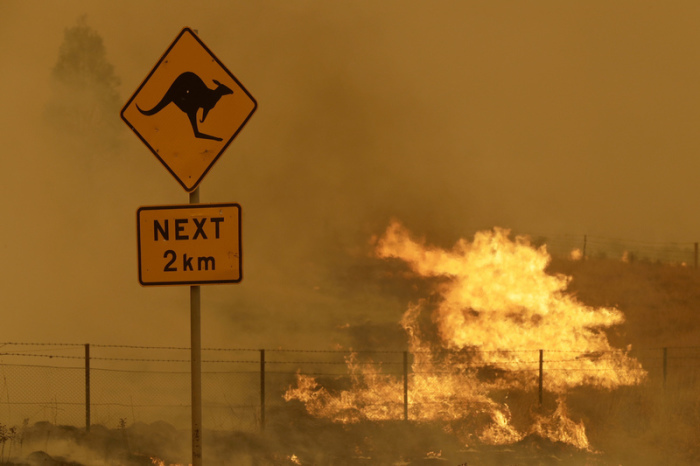 Feuer brennt im Gras in der Nähe von Bumbalong, südlich der australischen Hauptstadt Canberra. Foto: Rick Rycroft/Ap/dpa