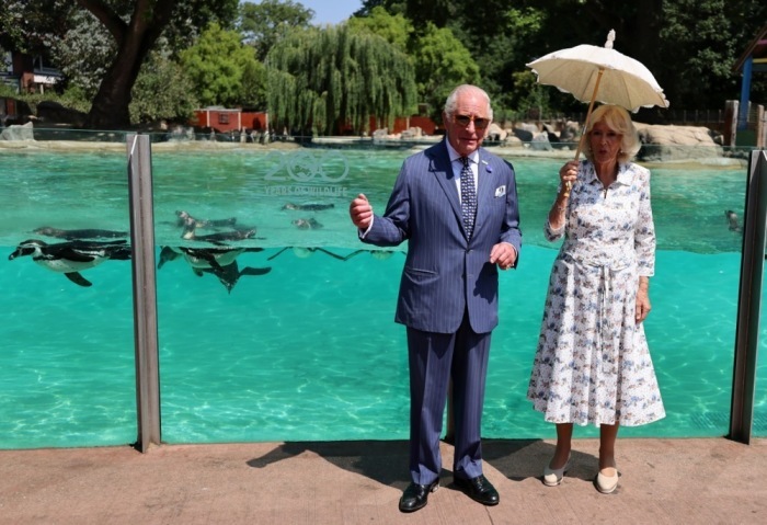 König Charles III. und Königin Camilla besuchen zum 200-jährigen Bestehen der Zoological Society of London das Pinguingehege im London Zoo. Foto: Andy Rain/epa