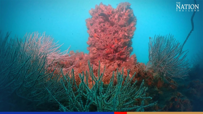 Koh Phangans „Rig-to-Reef“-Projekt wird von der Meeresfauna gut angenommen. Das Gebiet rund um das künstliche Riff wurde im Jahr 2019 unter Schutz gestellt, Angeln und Tauchen ist hier verboten. Foto: The Nation