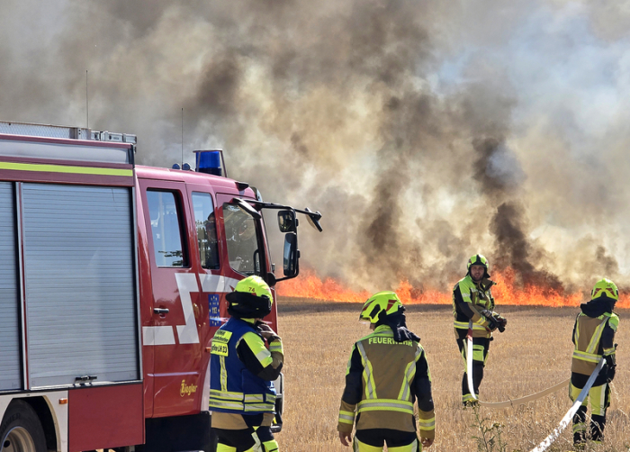 Feuerwehrkräfte bekämpfen einen Flächenbrand im Landkreis Karlsruhe bei Stutensee. Foto: dpa/Thomas Riedel