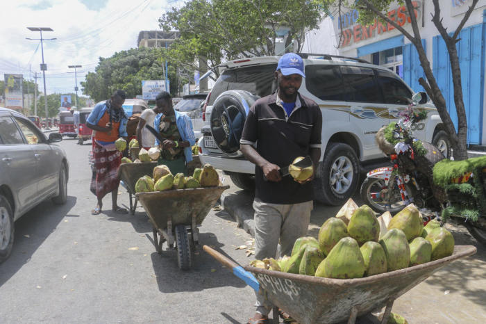 Verkäufer von Kokosnüssen aus Somalia bereiten Kokosnüsse an einem Straßenrand in Mogadischu zum Trinken vor. Foto: epa/Sagte Yusuf Warsame