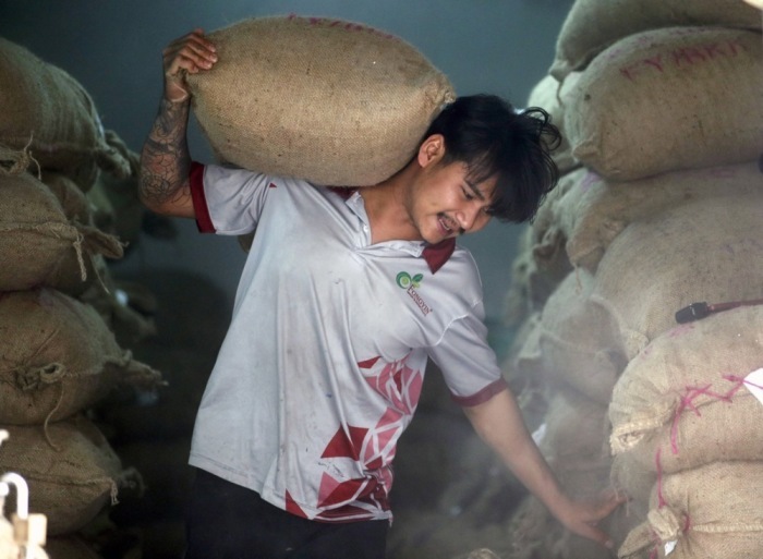 Italien sucht verstärkt Arbeitskräfte aus Thailand für Landwirtschaft, Gesundheitswesen und Dienstleistungen. Foto: epa/Rungroj Yongrit
