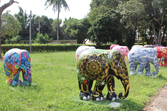 Ein Besuch im Elephant Parade Land mit seinen kunstvollen Skulpturen lohnt sich. Auch in den diversen Läden der Stadt kann man die kleineren Exemplare erwerben. Fotos: Wohlfart