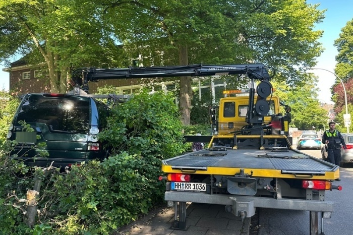Ein Auto steht nach einem Unfall vor einer Schule im Hamburger Stadtteil Blankenese zwischen Büschen und Ästen. Foto: dpa/Katharina Heinemann