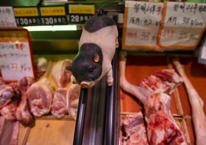 Ein Schweinemodell wirbt auf einem Markt in Shanghai für Fleischprodukte. Sinkende Schweinefleischpreise beeinflussten Chinas Inflationsentwicklung. Foto: epa/Alex Plavevski