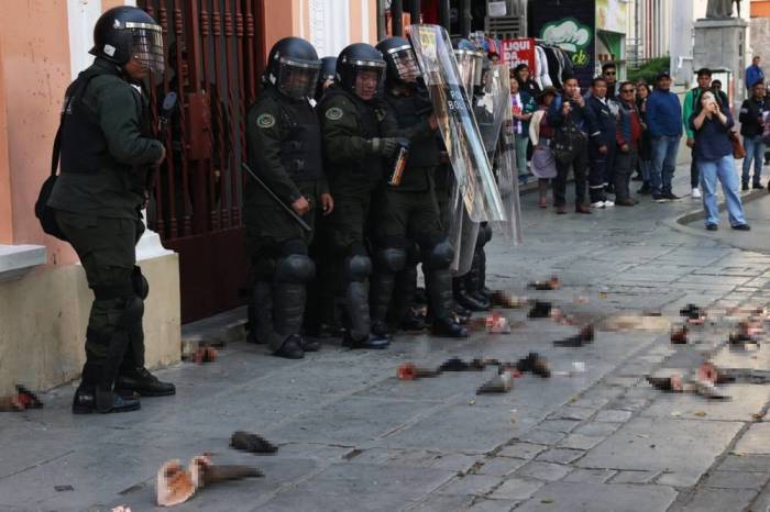 Demonstranten werfen während einer Demonstration in La Paz Kuhteile auf Bereitschaftspolizisten. Foto: epa/Luis Gandarillas