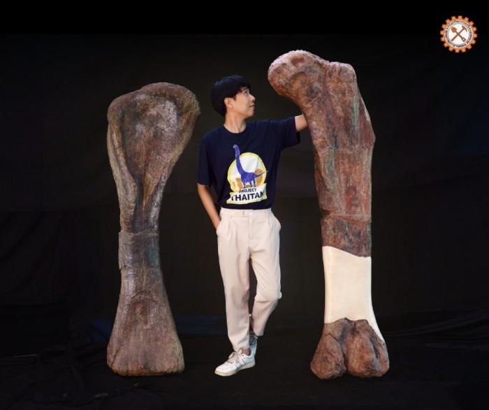 Die Paläontologin Sita Manitkoon vergleicht die gewaltigen Fossilienknochen des neu entdeckten Sauropoden, dessen Oberarmknochen 178 Zentimeter misst. Bild: Department of Mineral Resources