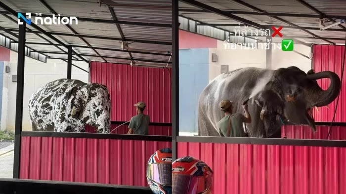 Ein Elefant genießt ein erfrischendes Bad in einer Autowaschanlage in Si Racha, Chonburi. Diese innovative Dienstleistung erfreut sowohl die Tiere als auch die Kunden. Foto: Chakkrit Chamnongplee