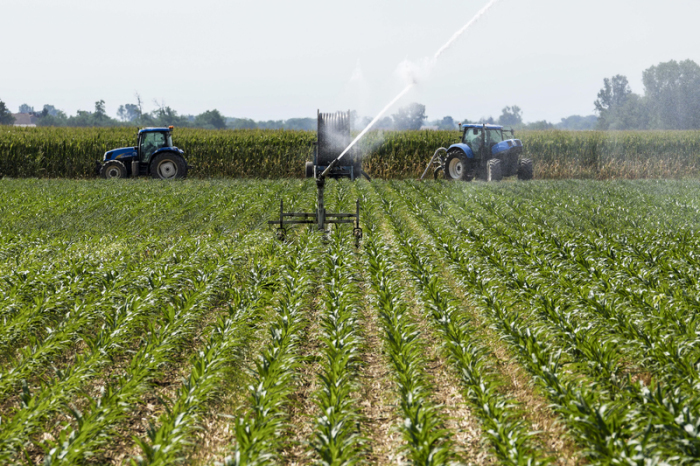 Ein Maisfeld in Italien mit zwei Traktoren, das wegen der großen Hitze von einem Sprinkler bewässert wird. Bei einem Arbeitsunfall kam ein 31-jähriger Arbeiter aus Indien ums Leben. Foto: Luca Bruno/Ap/dpa